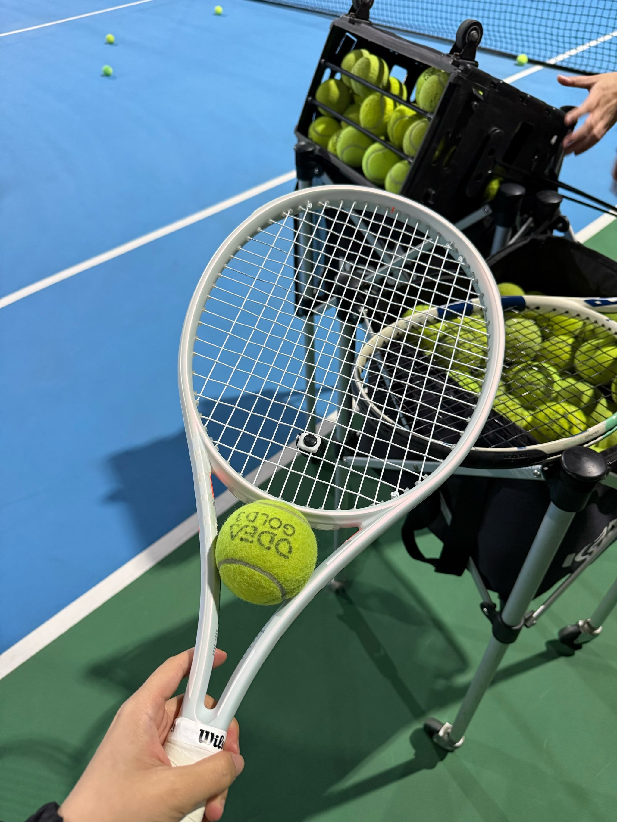 在本届欧锦 在本届欧锦