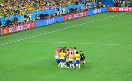 健康的光泽 健康的光泽