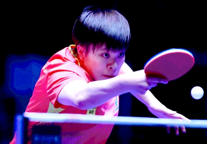 专业人士的 专业人士的