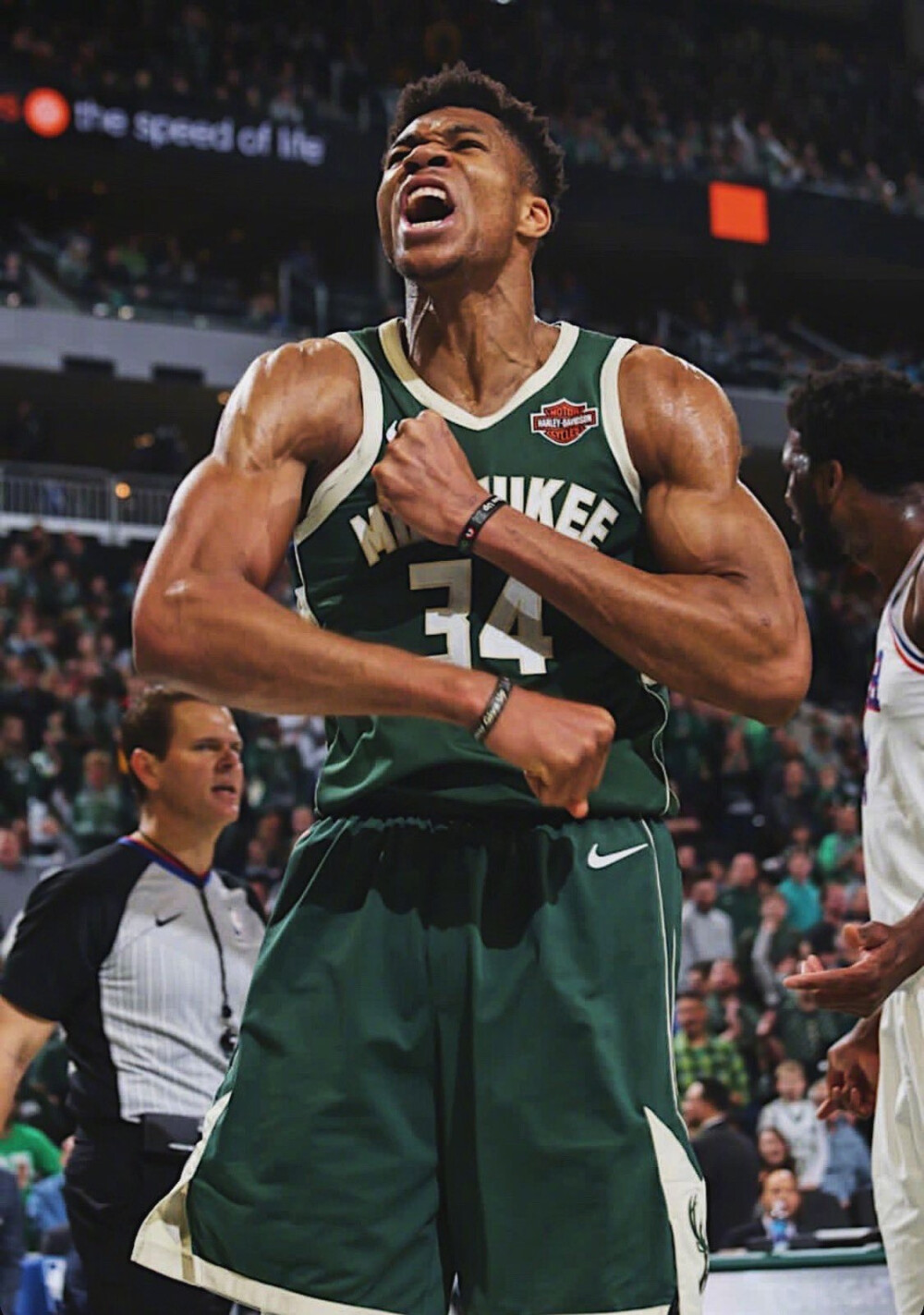 争取把篮板 争取把篮板